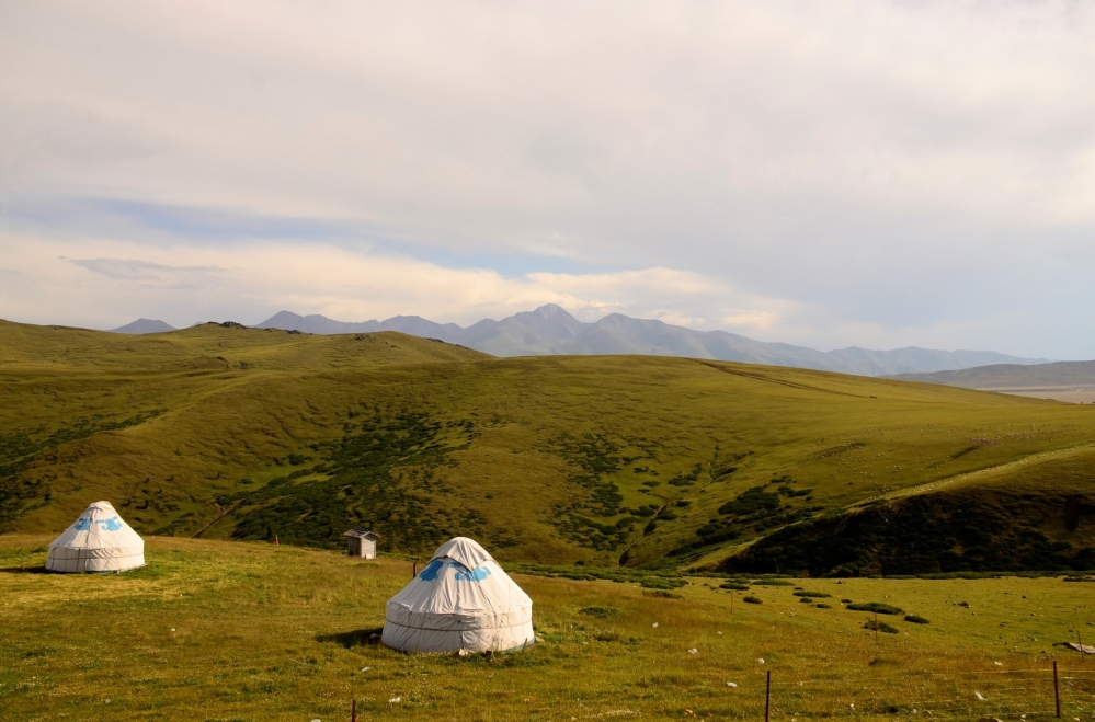 _DSC3971.JPG