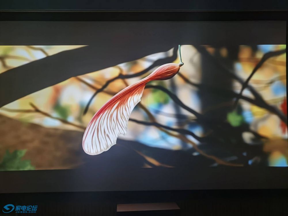 M8PRO.jpg
