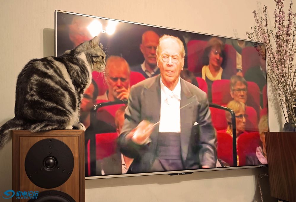 IMG_20250201_000703 - ����.jpg