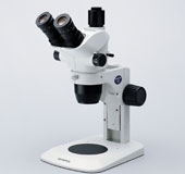 tsxwj1_4.jpg