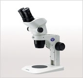 tsxwj1_3.jpg