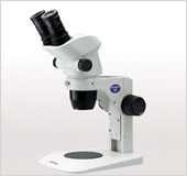 tsxwj1_5.jpg