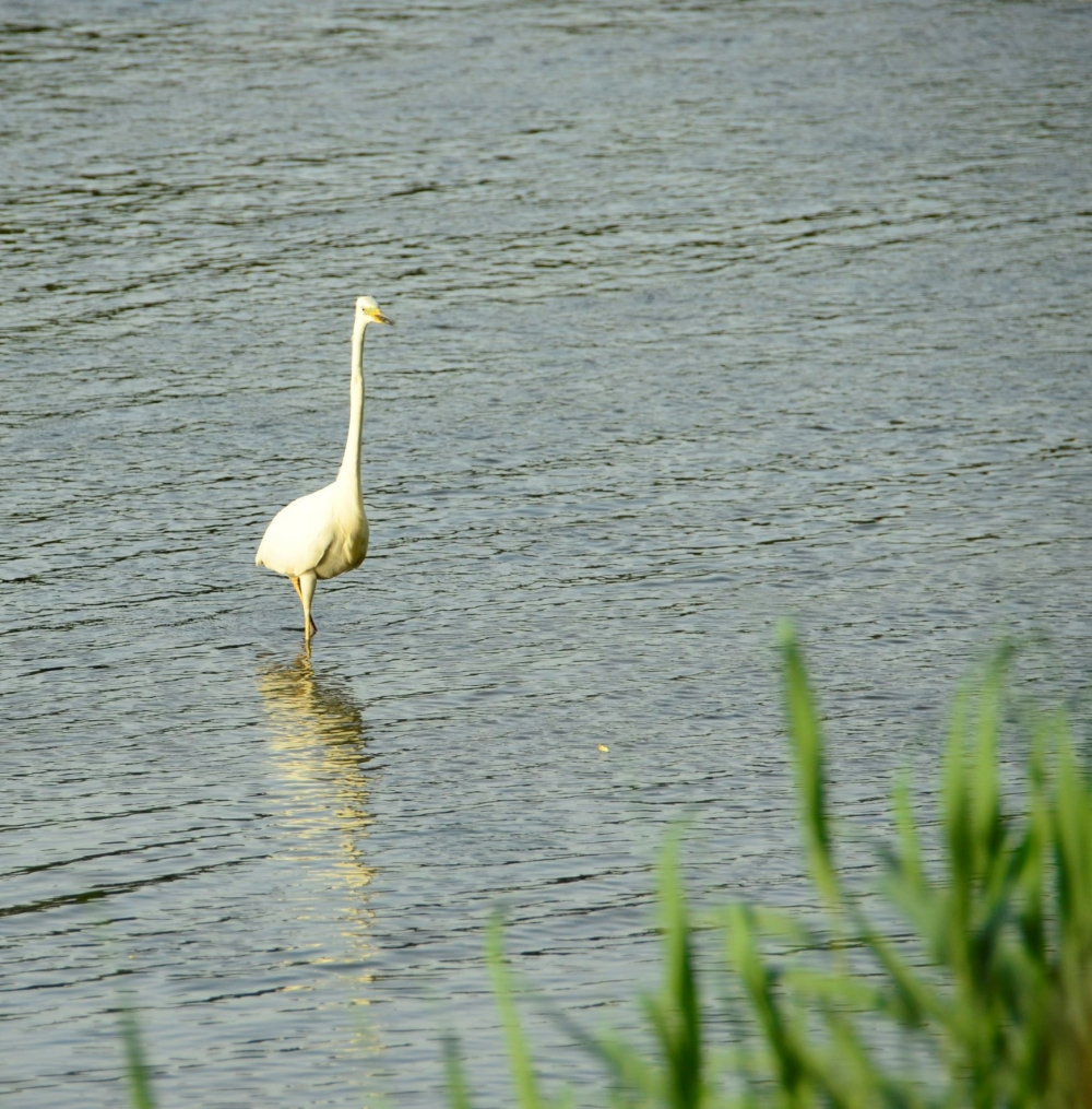 _DSC4862.JPG