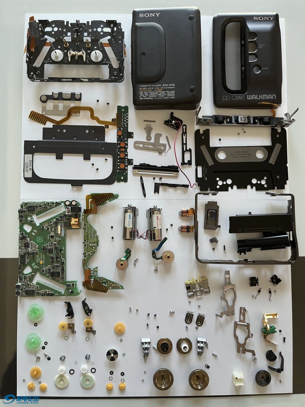 SONY-DD9-1.JPG