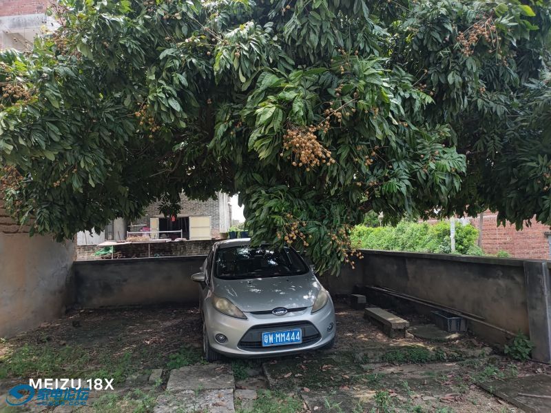 213326sx2sfq2ox60gsrfs.jpg.thumb.jpg