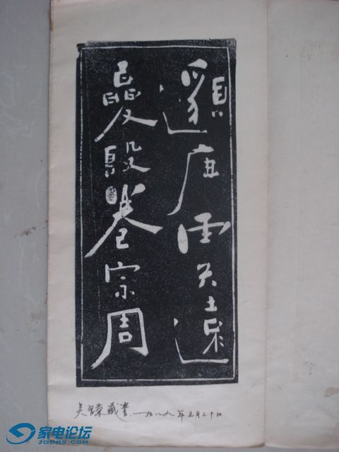 DSC08471.JPG