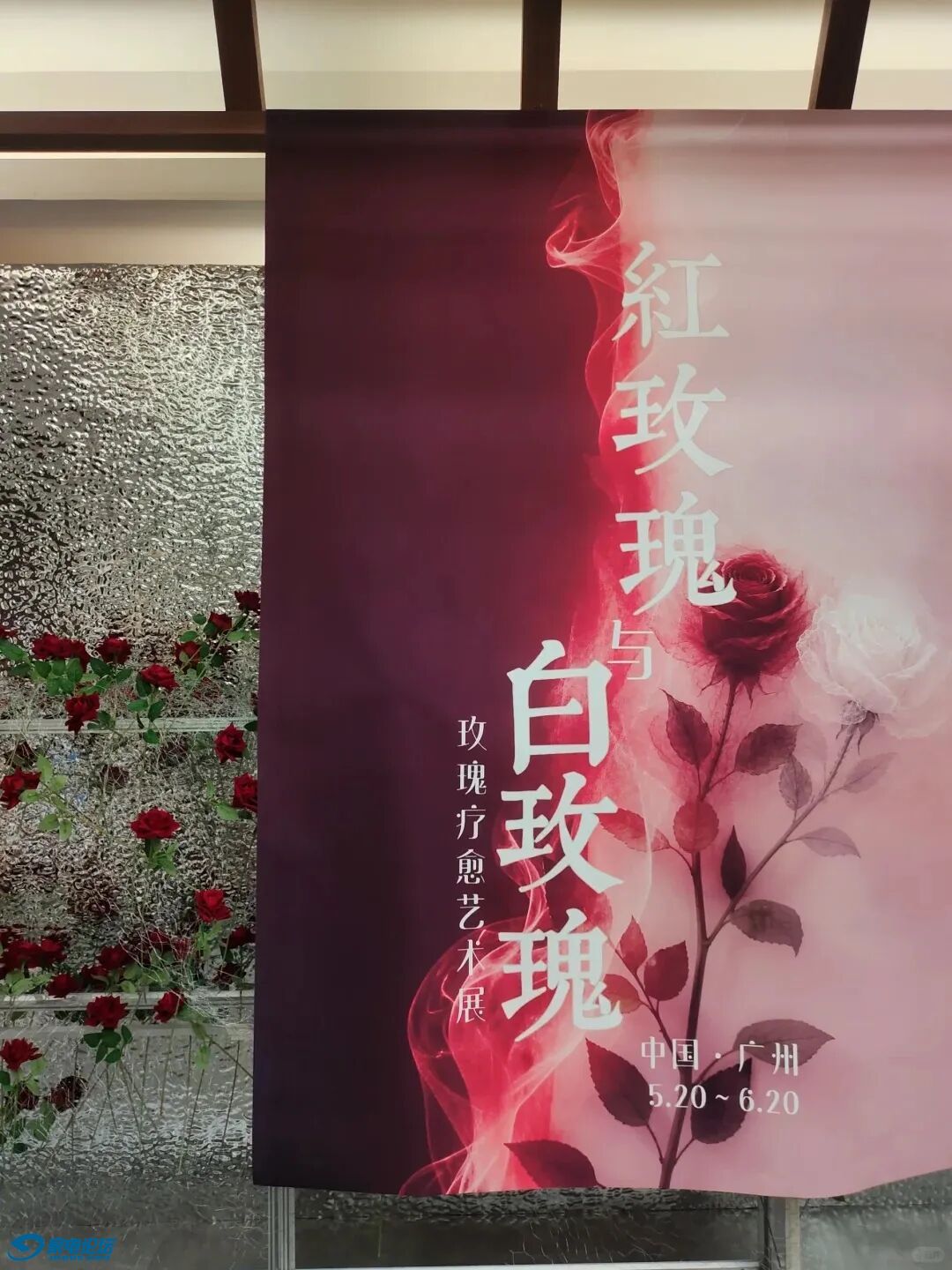 a657e2d7fd544f8a863745a0c26b4b27~tplv-tt-origin-web:gif.jpeg?_iz=58558&from=article.jpg