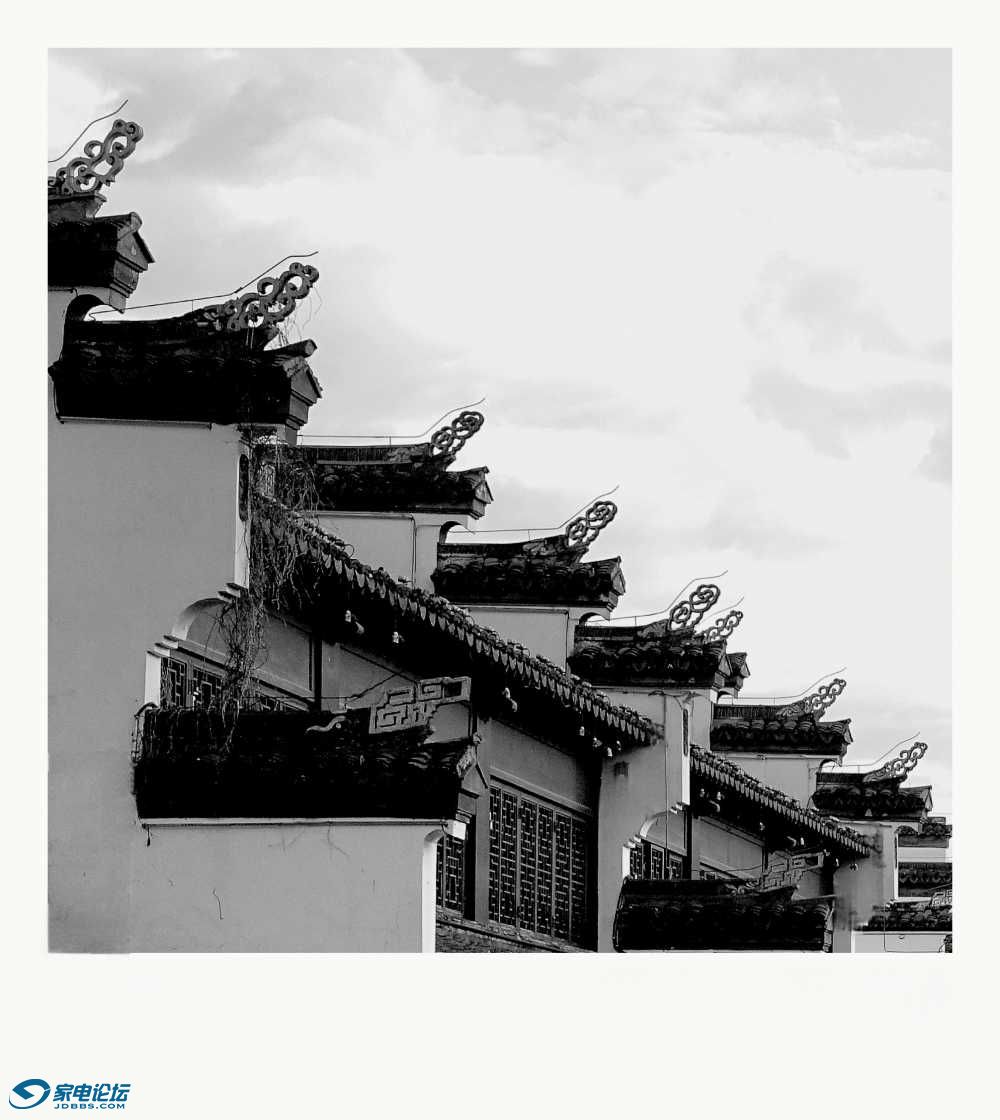 _DSC8268_1(2)(1).jpg