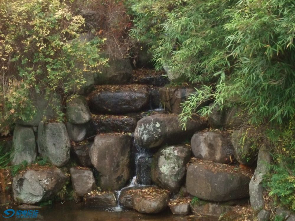 DSCF8303.JPG
