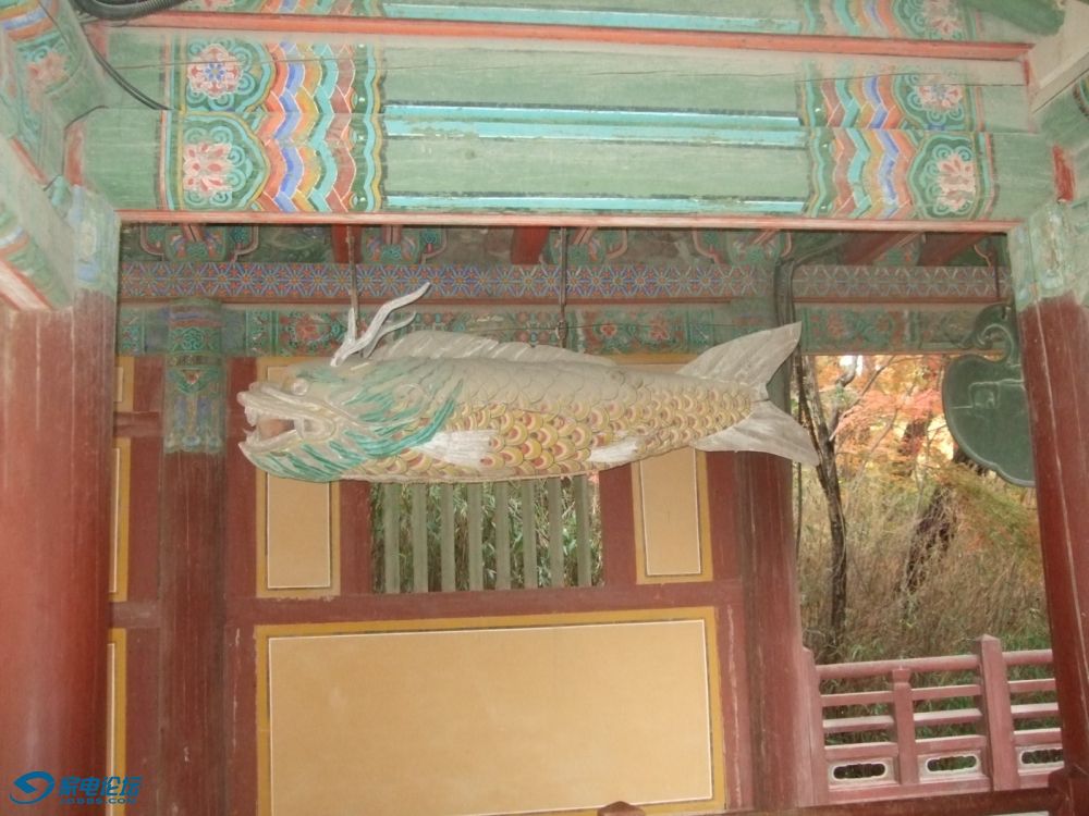 DSCF8319.JPG