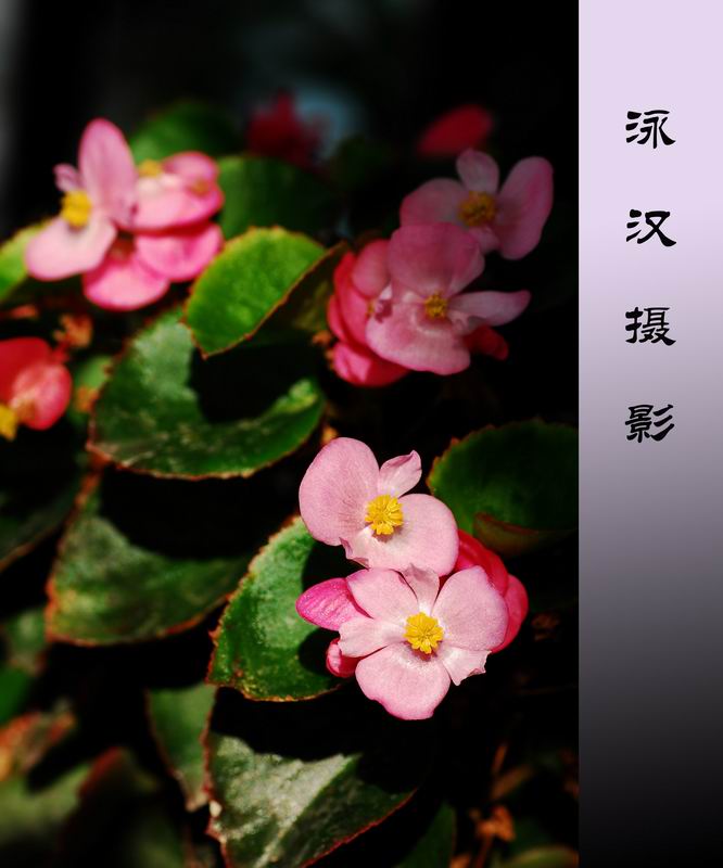 ������С DSC����.jpg