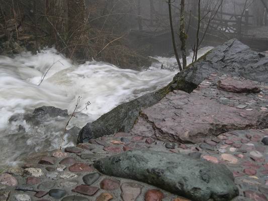 С DSCN3206.JPG