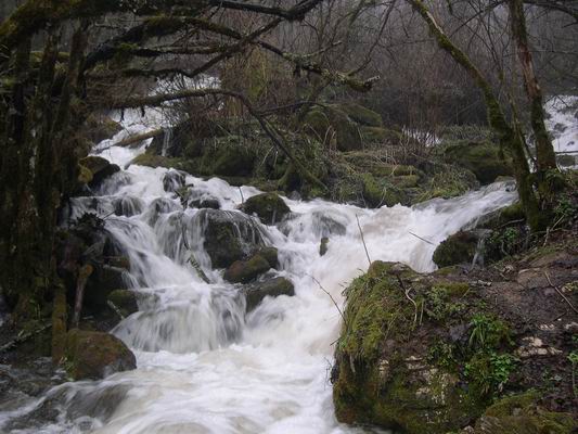 С DSCN3242.JPG