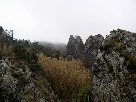 С DSCN3175.JPG