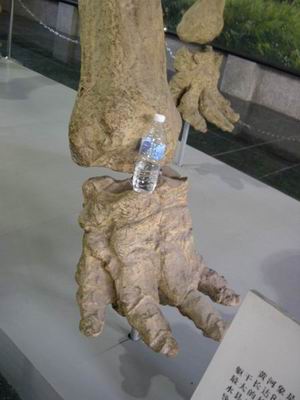 С С DSCN2535.JPG
