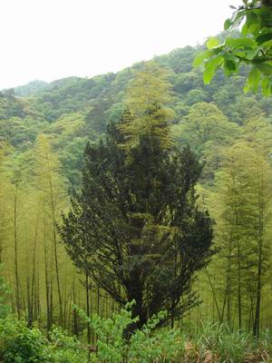 С DSCN3805.JPG