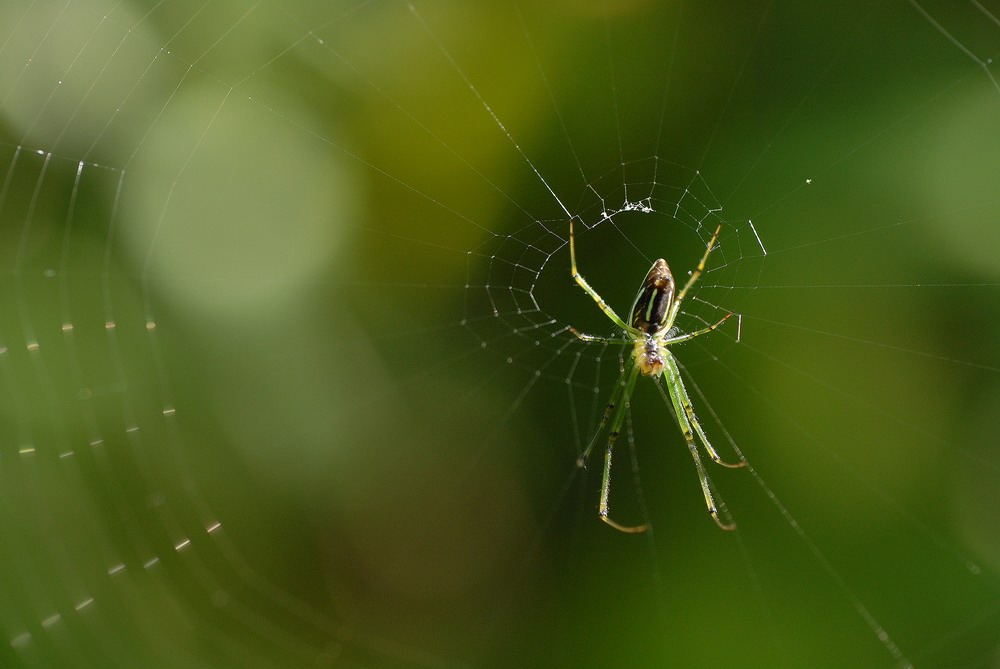 ������С DSC_0363.JPG