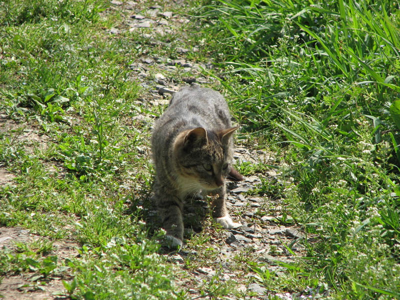 achillesss,2007040922164.jpg
