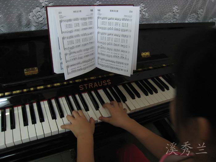 �ҵ�Ů����������������ʥ������ӣ�����