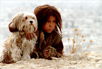 Stray-Dogs-Marzieh-Meshkini.jpg