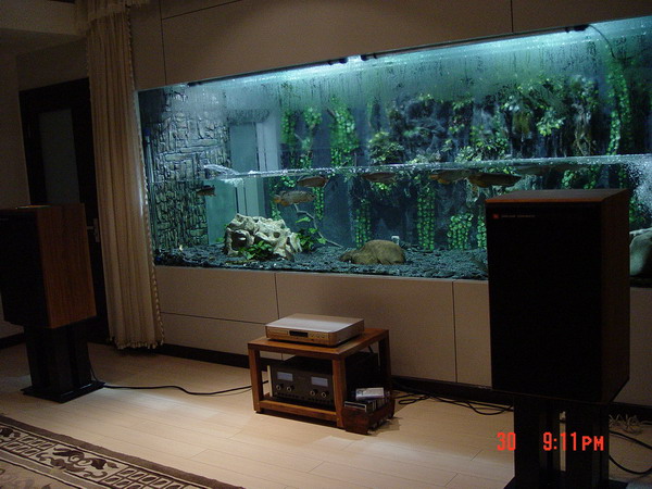 20061107233647644.jpg