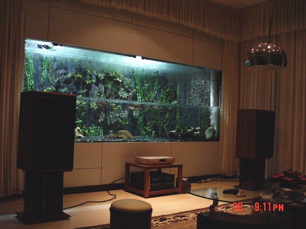 20061107233619494.jpg