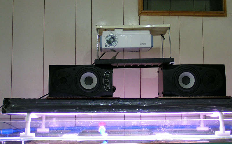 PICT0113.jpg