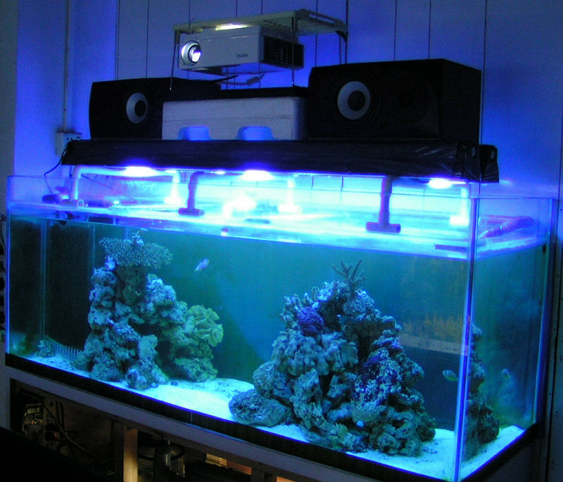 PICT0028.jpg