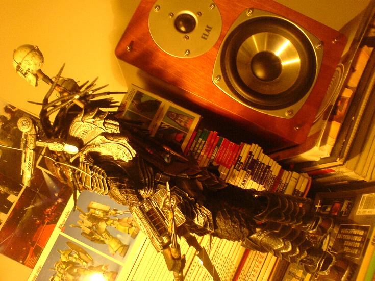 DSC00392_mhDQYxMNBmRt.jpg
