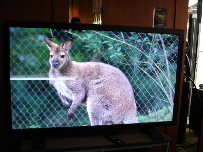 �ۻ���Ƭ 1684.jpg