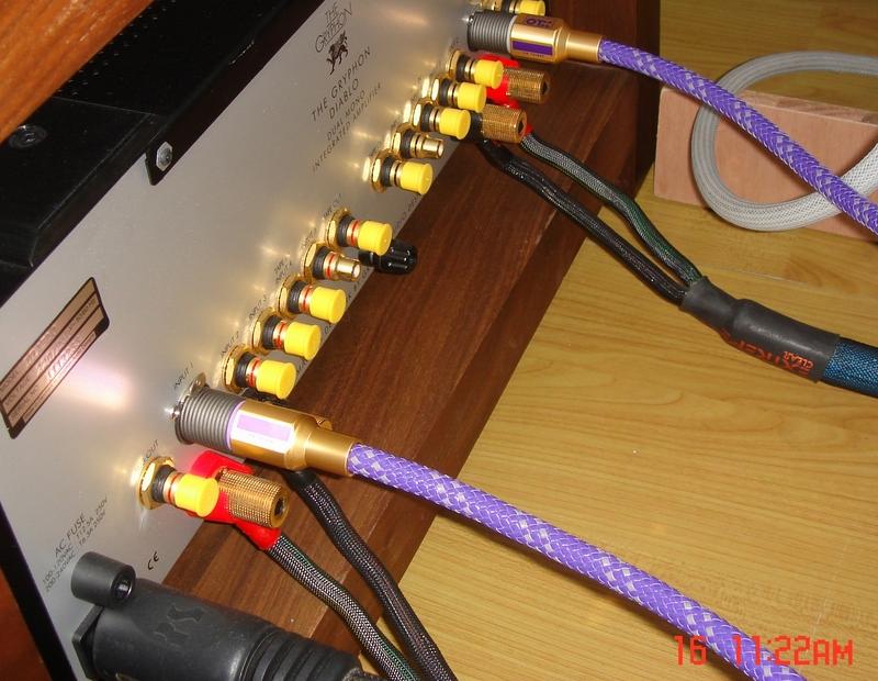 xlo le xlr.jpg