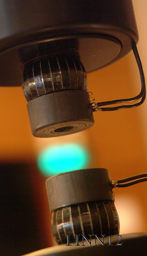 DSCF0201 ����.jpg