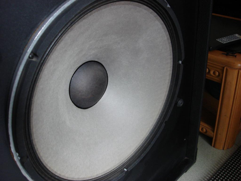 DSC05695 (Large).JPG