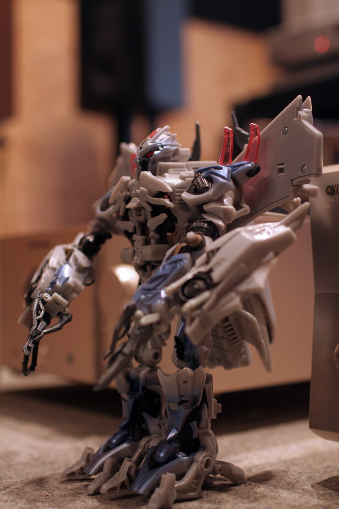 IMG_0962_resize.JPG