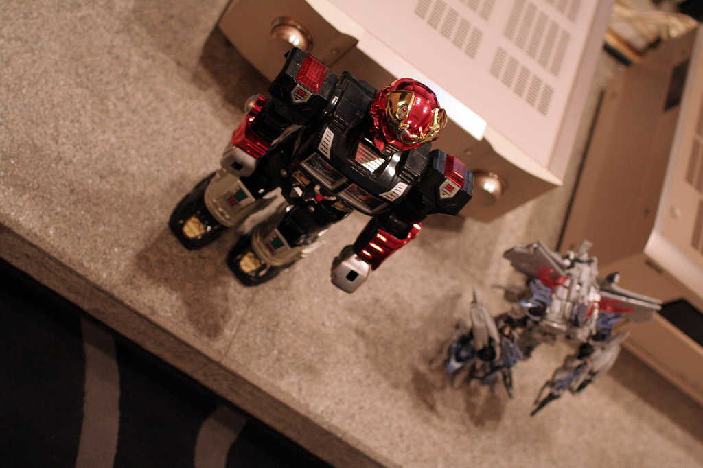 IMG_0993_resize.JPG