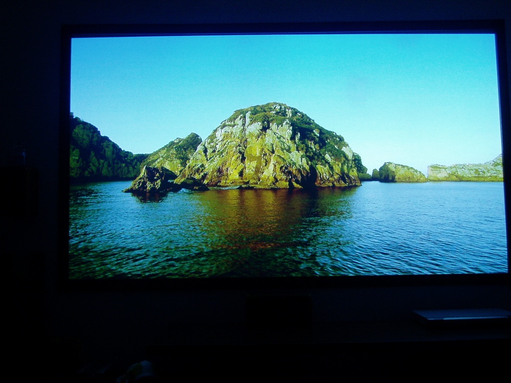 P1010161.JPG