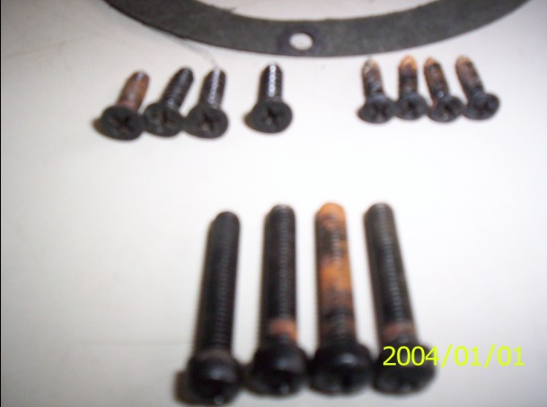 ����������������˿,����������˿,������ǵ���������˿.