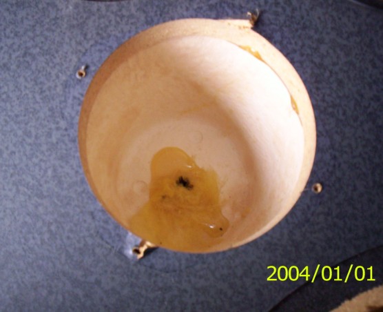 ������Ԫ�ǲ��üӵ��