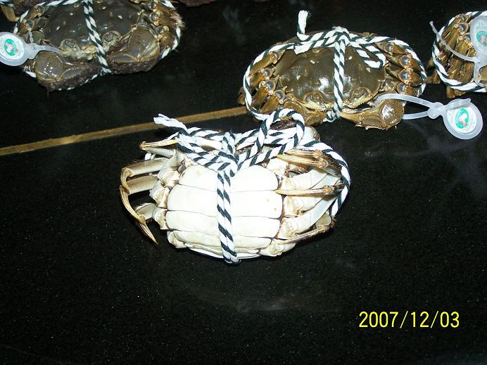 2.JPG