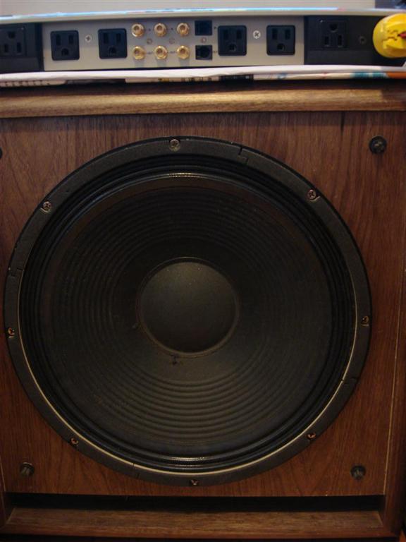 DSC06704 (Large) (Large).jpg