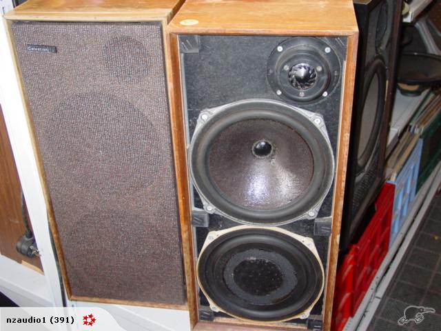 Celestion 15.jpg