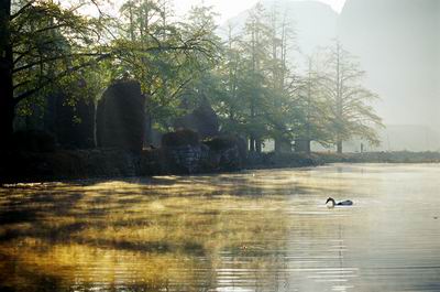 ������С 28140003.JPG