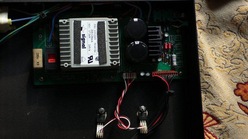 P1010866y.jpg