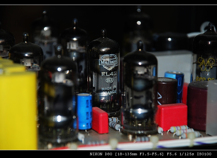 DSC_7911.jpg