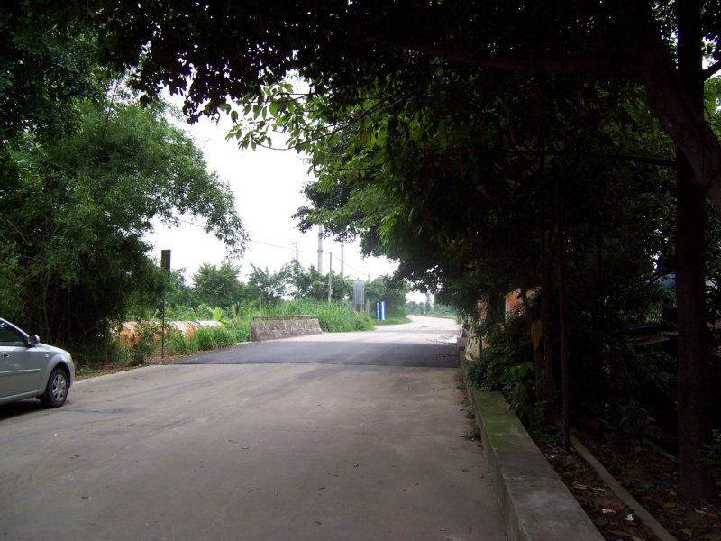 100_2303.jpg