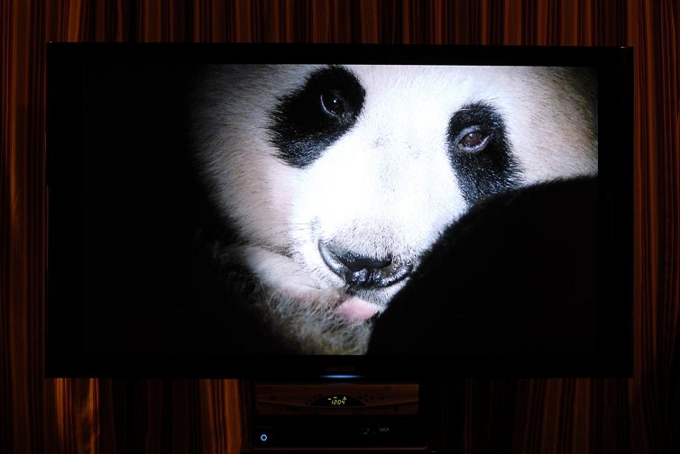 DSC_4887 (Large)_sammy_5884.jpg