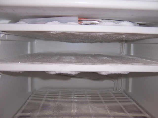 ֱ��ģ�����������˪~