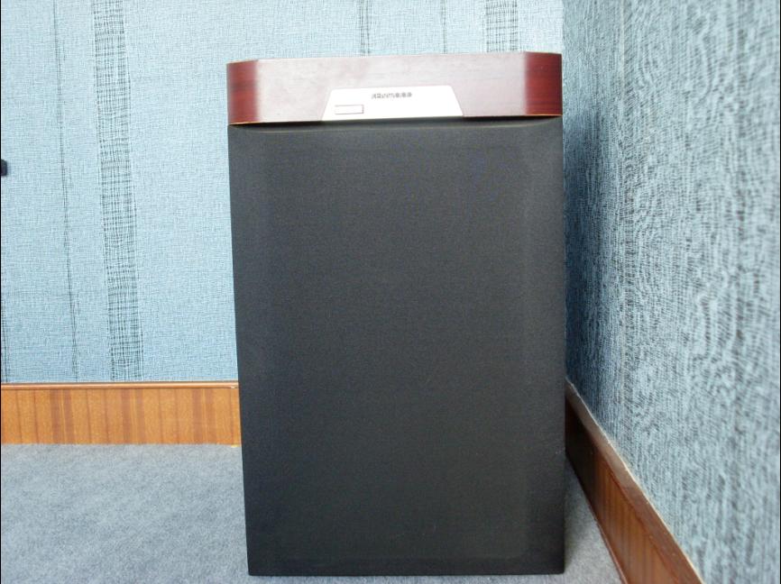 SW515.JPG