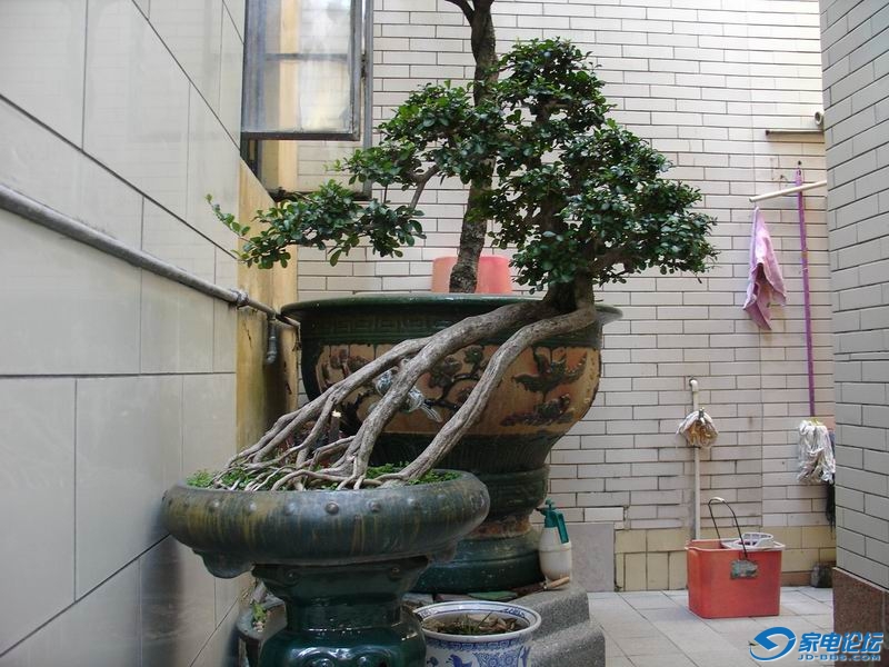 DSC02406.jpg