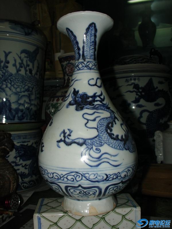 DSC02454.JPG